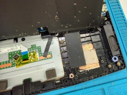 Vệ sinh laptop bị bụi, kiến vào