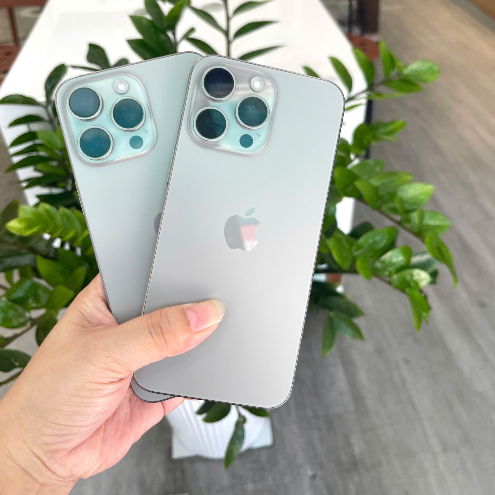 Kiểm tra iPhone cũ và màn hình hiển thị True Tone trước khi mua
