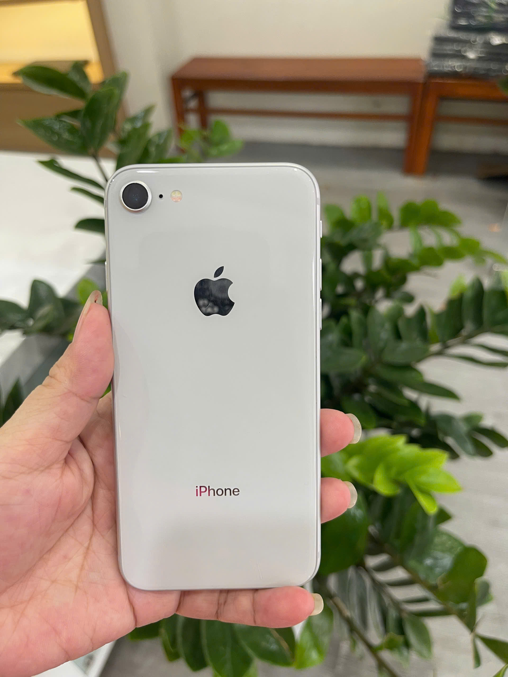 iPhone 8 giá rẻ tại Đà Nẵng với thiết kế nhỏ gọn