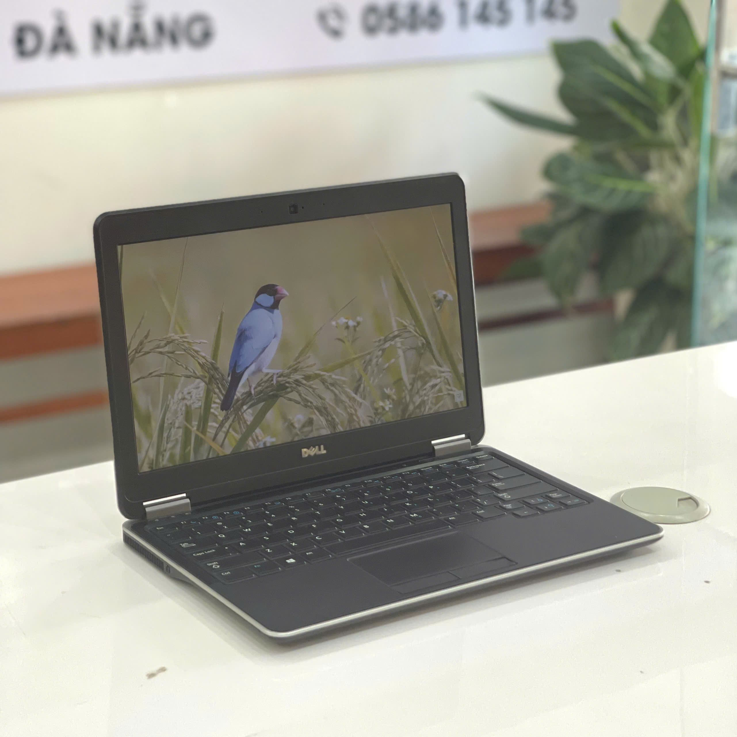 Laptop cũ Dell Latitude E7240 nhỏ gọn giá rẻ tại Đà Nẵng